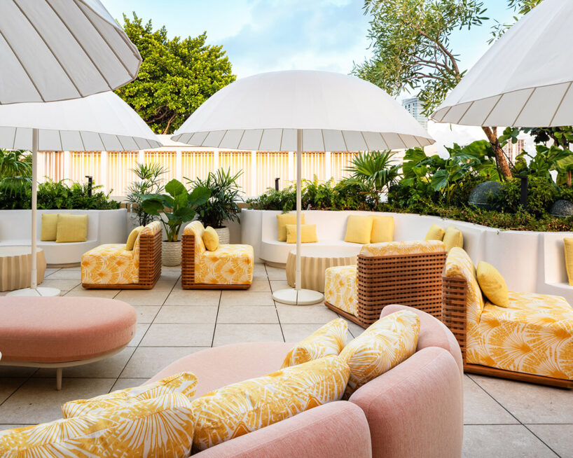 a rooftop terrace opens to the sky with tropical plants and tiled surfaces