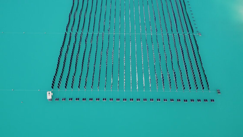 floating vertical solar panels