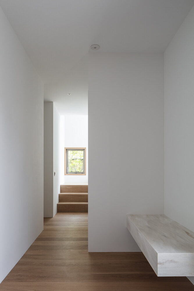 natural light becomes an active architectural element throughout the day