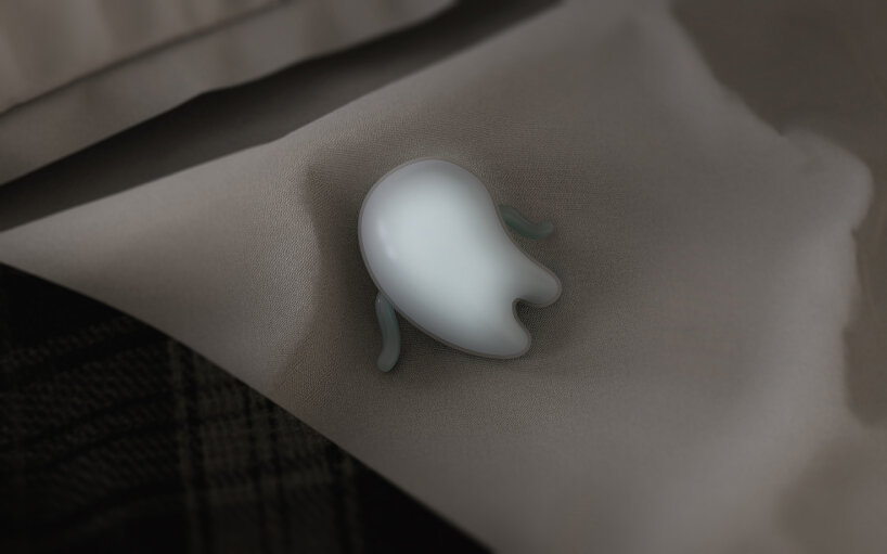 concept jelly companion trutru