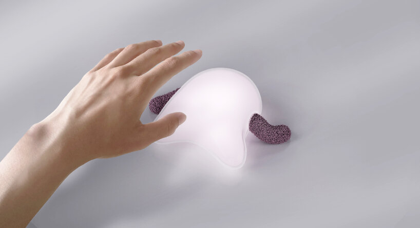 concept jelly companion trutru