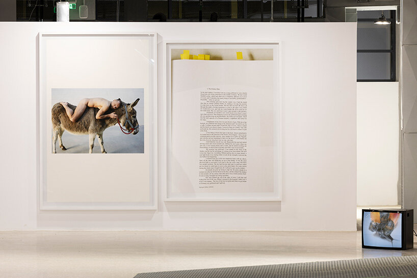 photographs coexist with text-based works