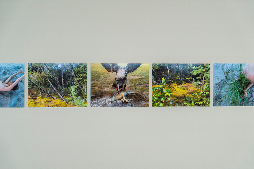 photographic sequences explore landscapes, gesture, and the natural world | image ©Andreas Simopoulos