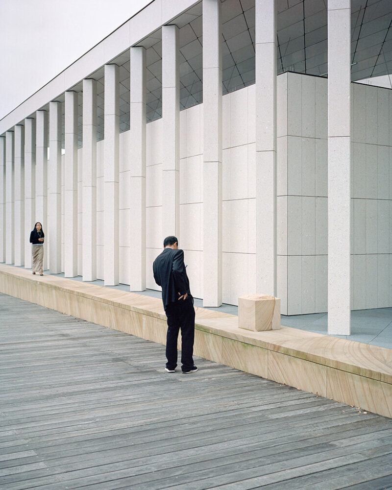 the result is a building that, despite its formal clarity, appears to emerge naturally from its setting