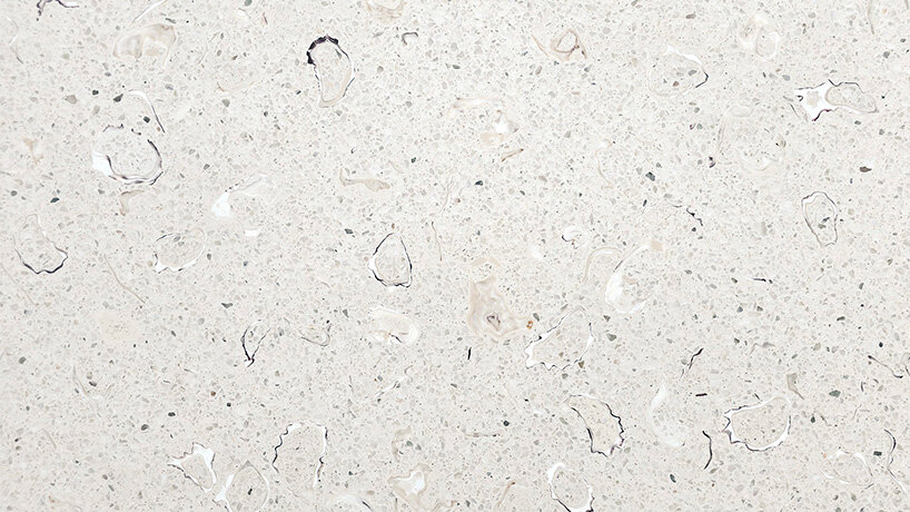 Oyster Terrazzo close-up | image © Besley & Spresser