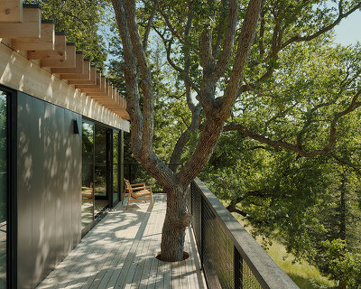 mork-ulnes extends california home with pavilion punctuated by oak and redwood trees