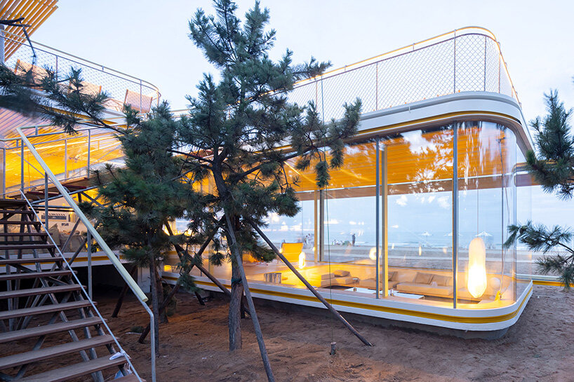 preserving unobstructed views of both the pine canopy and the horizon line