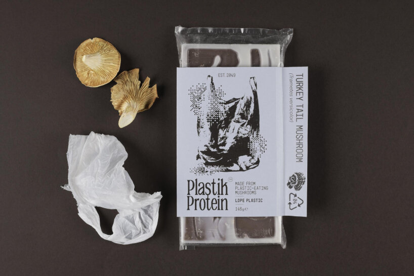 mushrooms chocolate protein bars