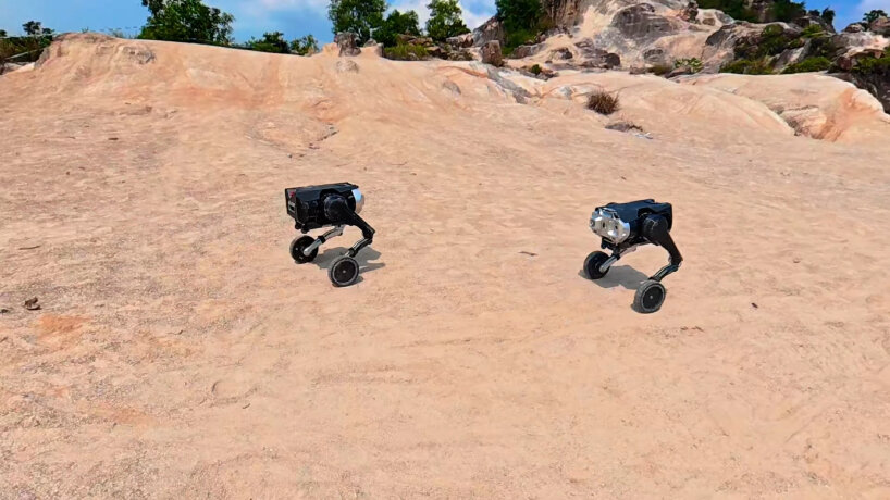 all-terrain modular robot