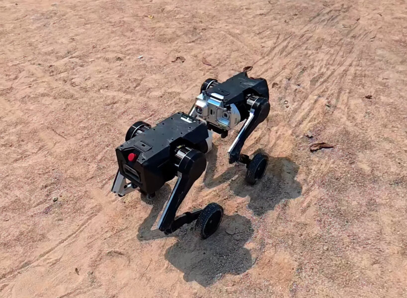 all-terrain modular robot