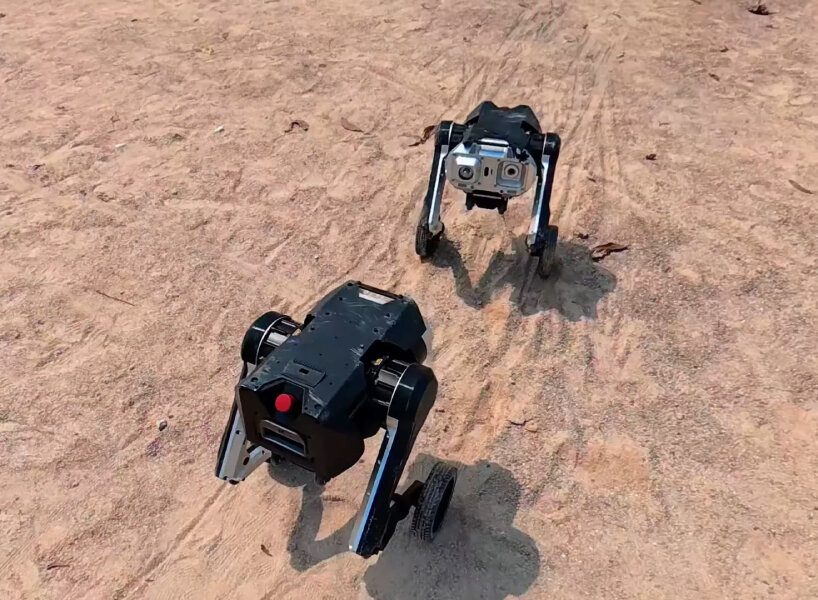 all-terrain modular robot