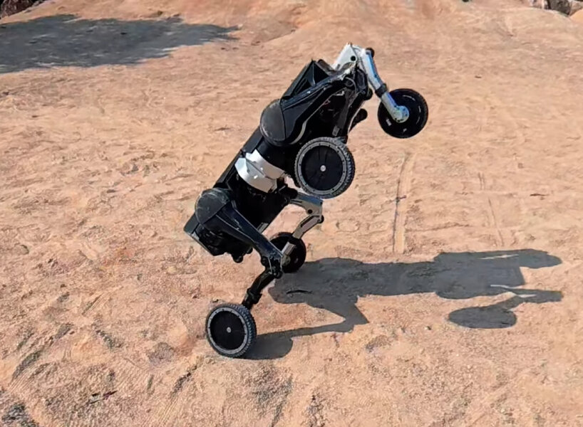 the robot can move around and do 'tricks' on its own, too