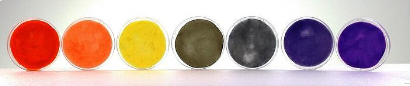 living bacteria dye fabrics