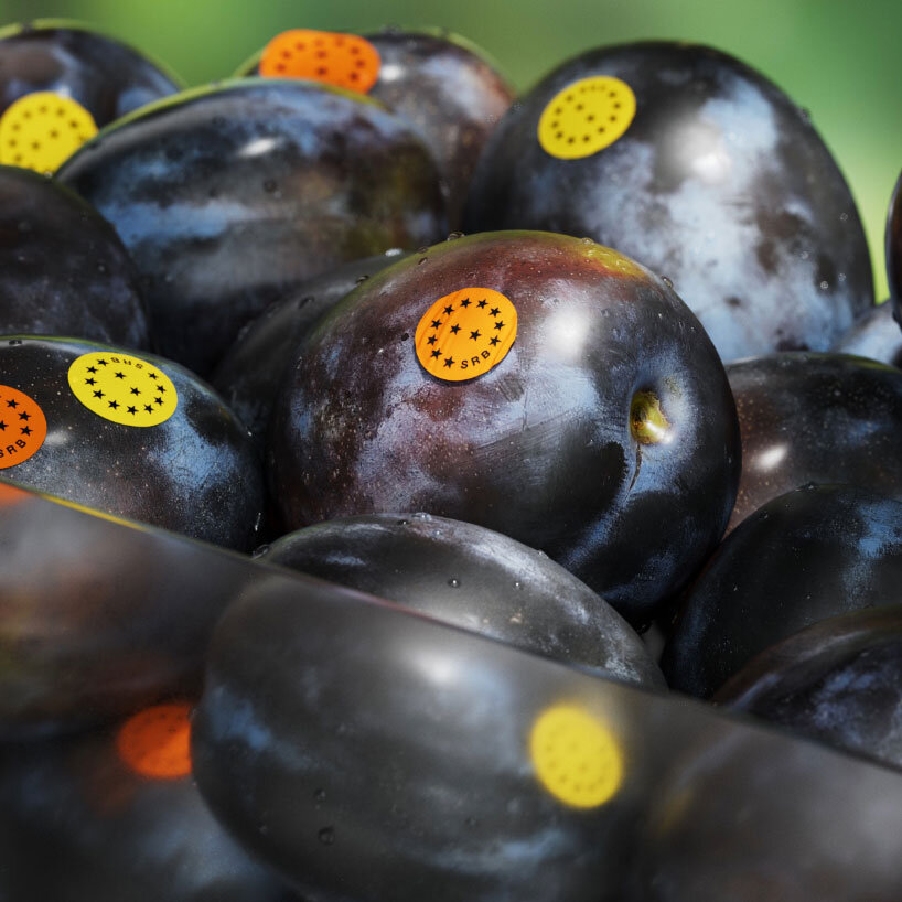 the design system reframes 'origin' for both goods and digital services