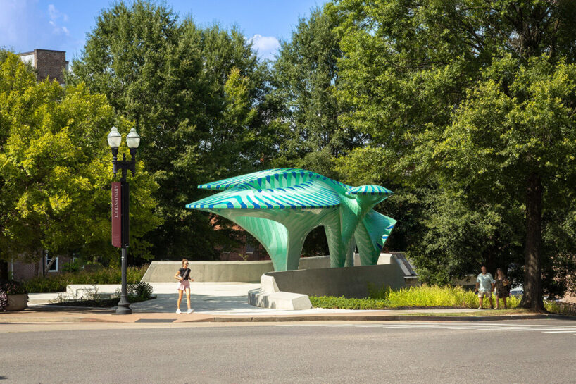 images © Steve Kroodsma