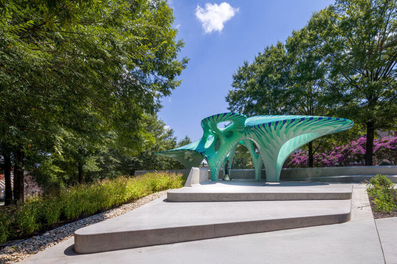 images © Steve Kroodsma