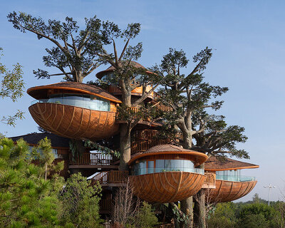 modular forest nests by doarchiwow propose model for prefabricated eco-resorts in china