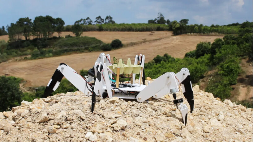 tree-planting robot deforestation