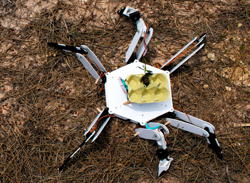 tree-planting robot deforestation