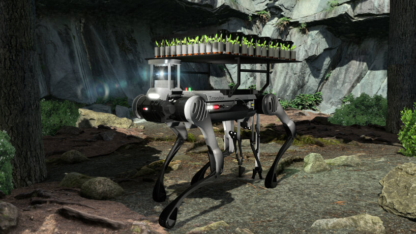 tree-planting robot deforestation