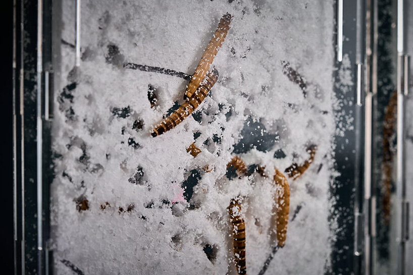 the approach shapes decisions from assembly logic to the portability of the pavilion