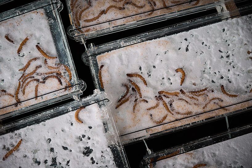 after the exhibition timber components are repurposed