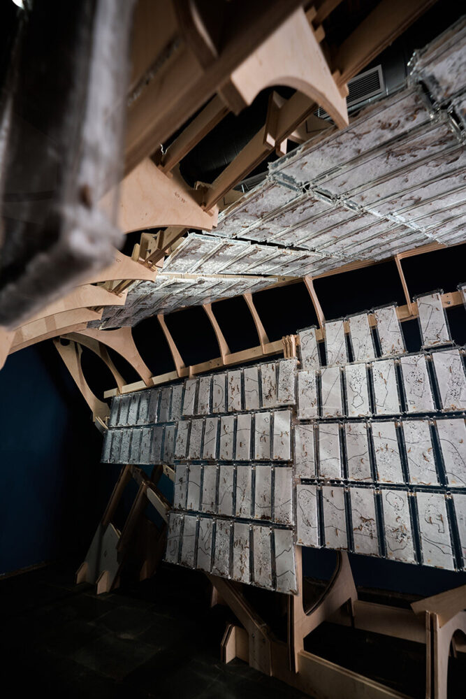 the project becomes a living model for regenerative architecture