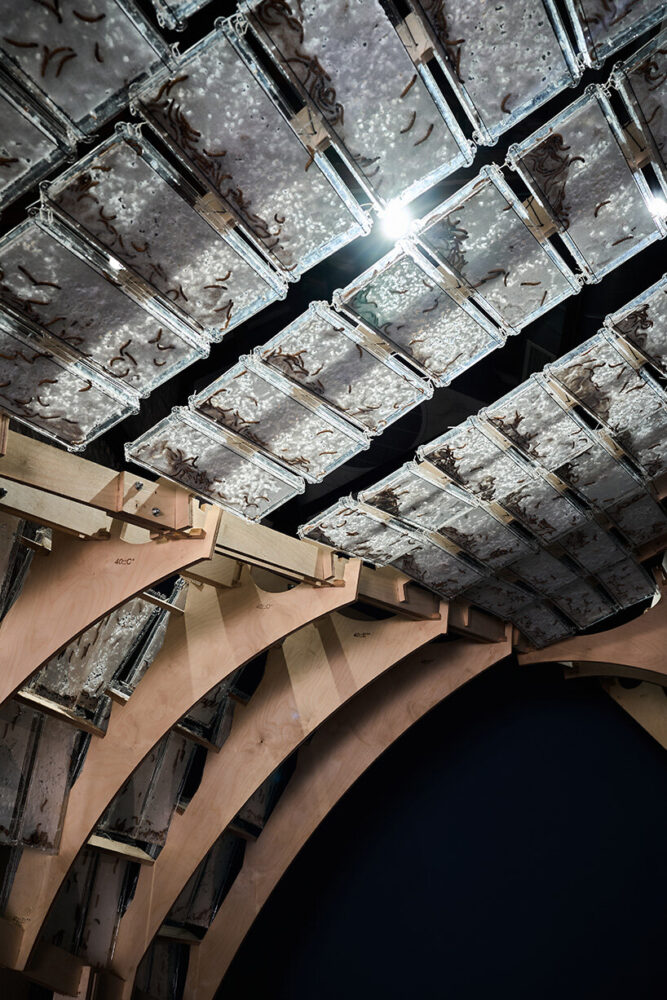 worm-transformed Styrofoam plates are preserved as memory objects