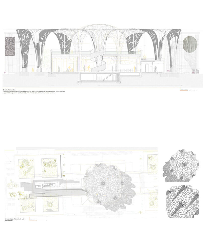longitudinal section - detailed plans of fractal geometries and spatial flows | image by Ines J. Pedras