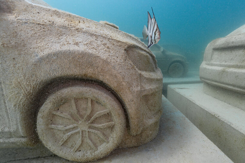 image © Nola Schoder