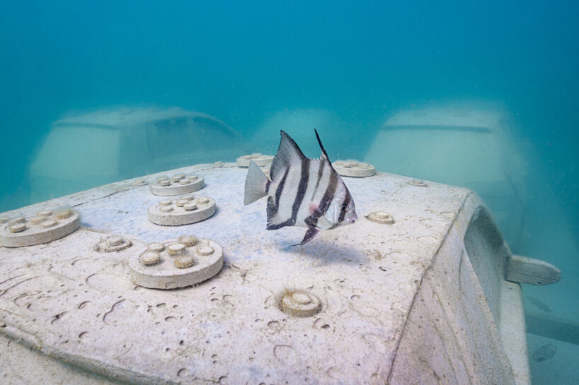 image © Nola Schoder