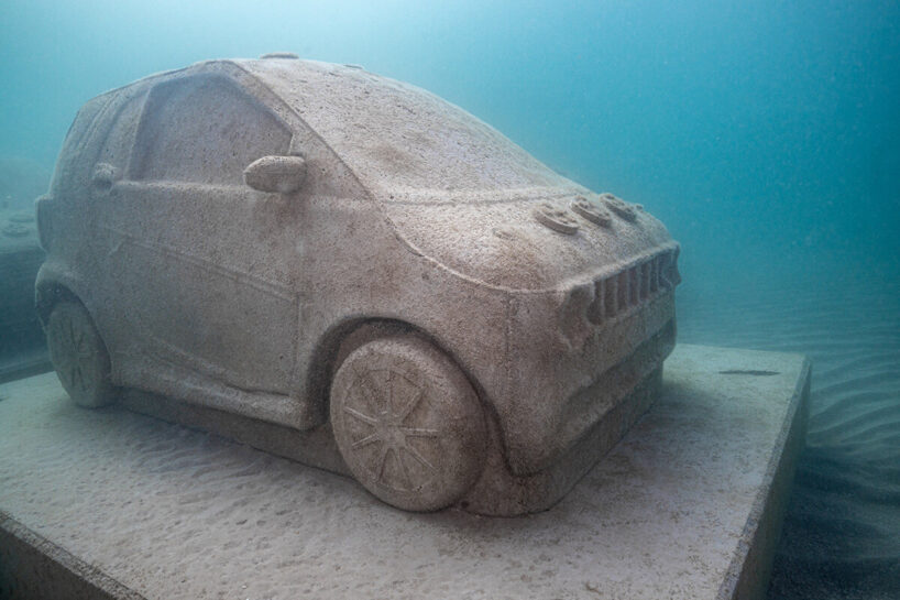 image © Nola Schoder