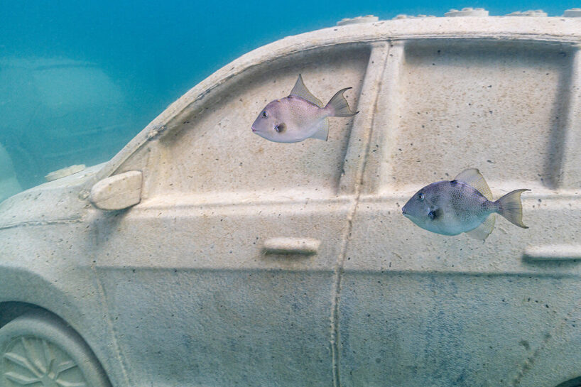 image © Nola Schoder