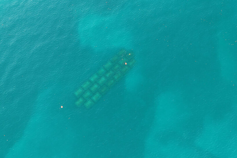 drone image courtesy The ReefLine