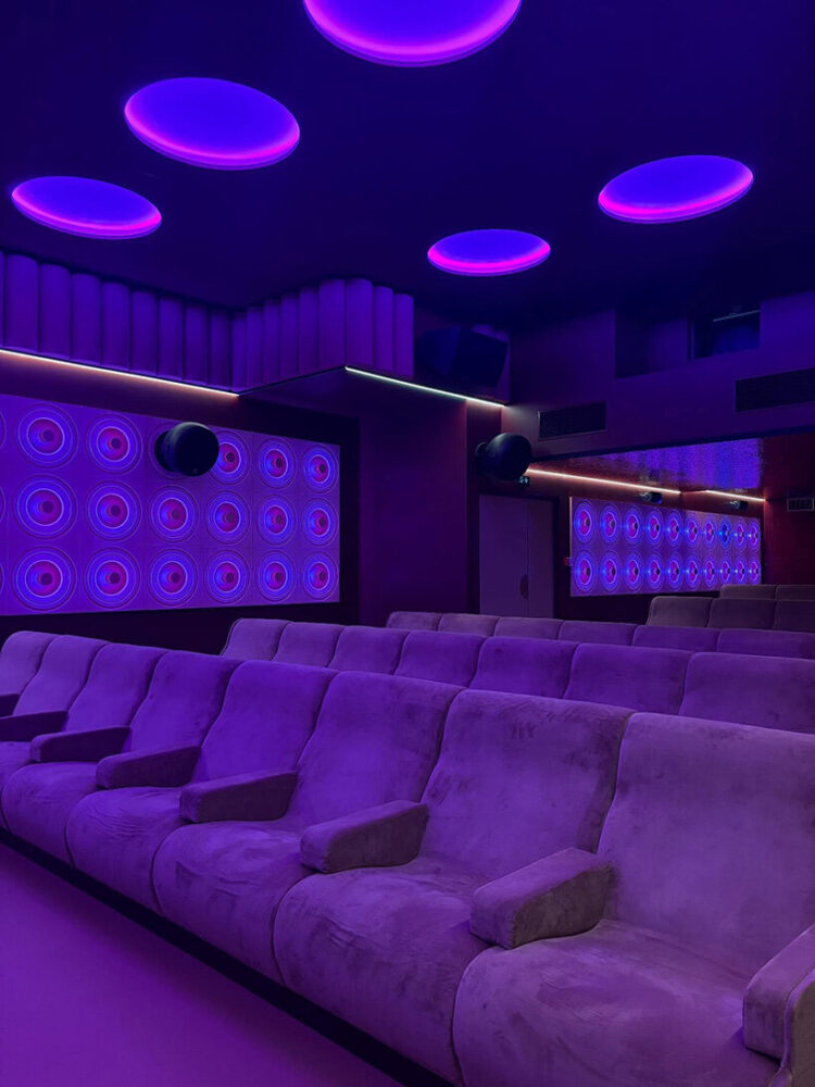 image via @CinemaElyseesLincoln