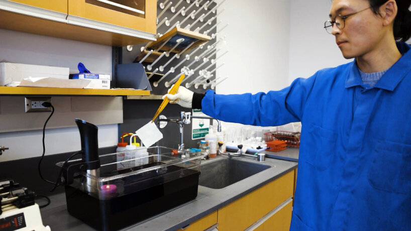 darkest fabric ultrablack feathers