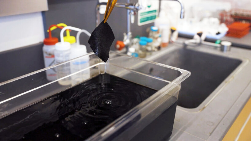 darkest fabric ultrablack feathers