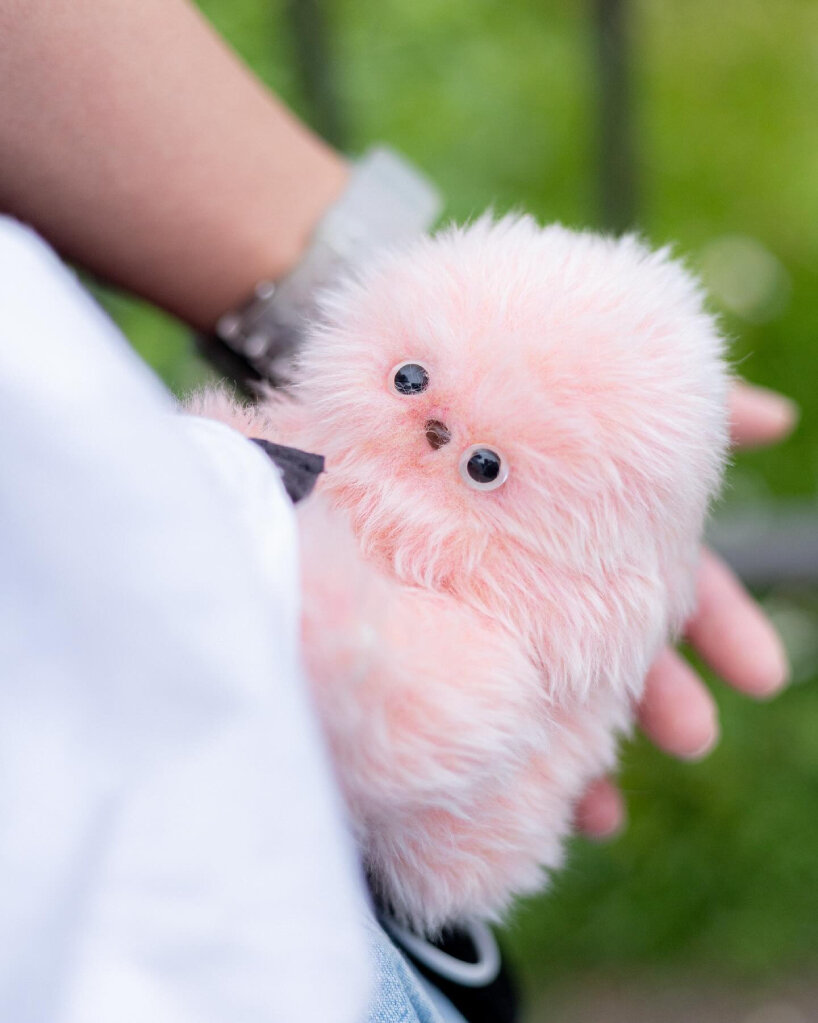 its neck motor lifts the head of the device to make it look up