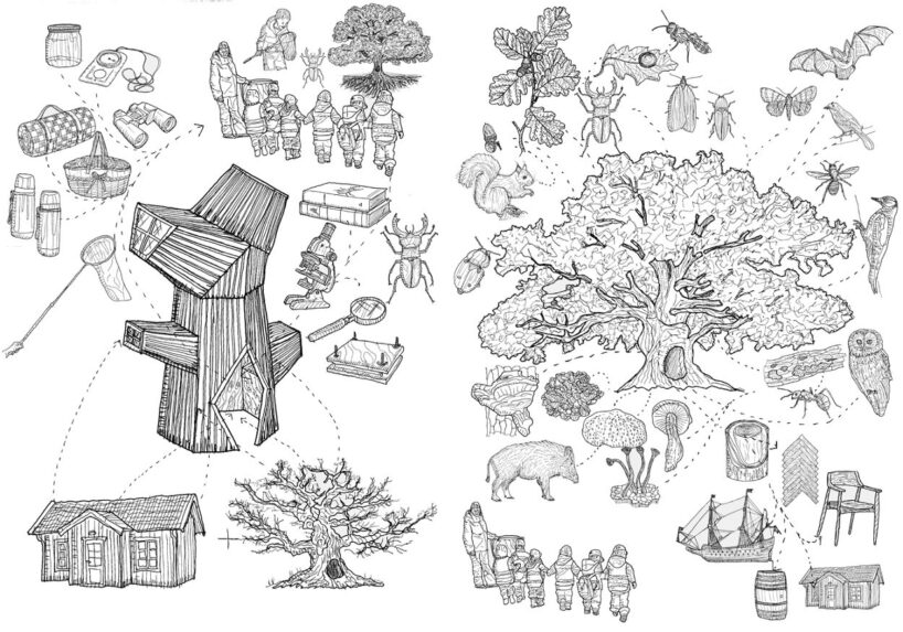 ilustración de la casa de roble