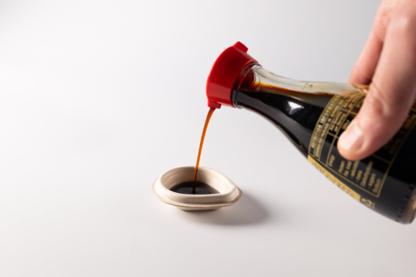 soy sauce fish dropper