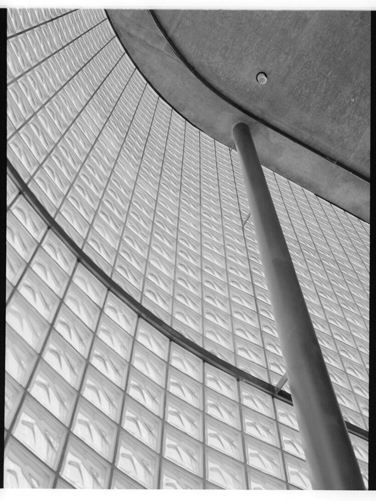 a restrained material palette frames circulation and movement through the store