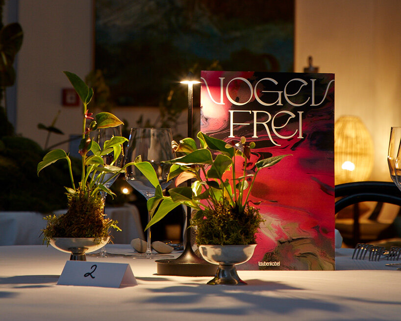 taubenkobel vogelfrei