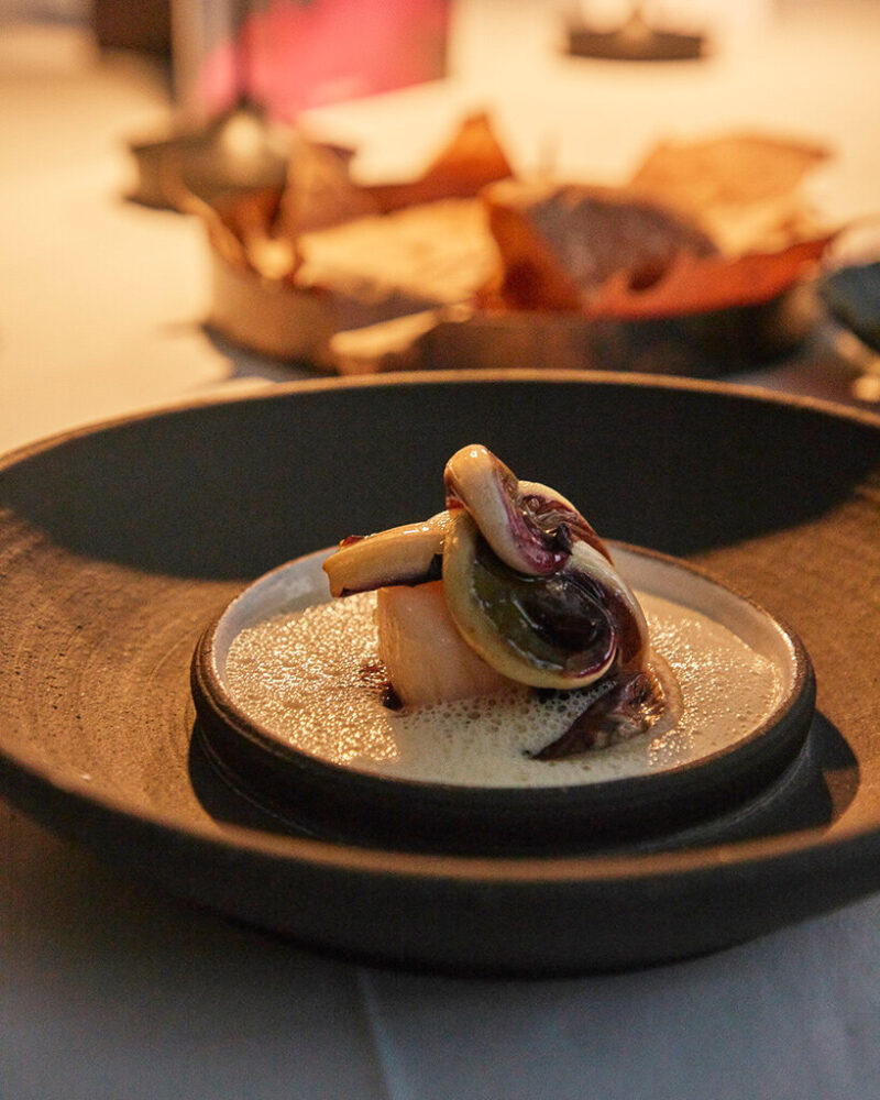 VOGELFREI, image courtesy Taubenkobel