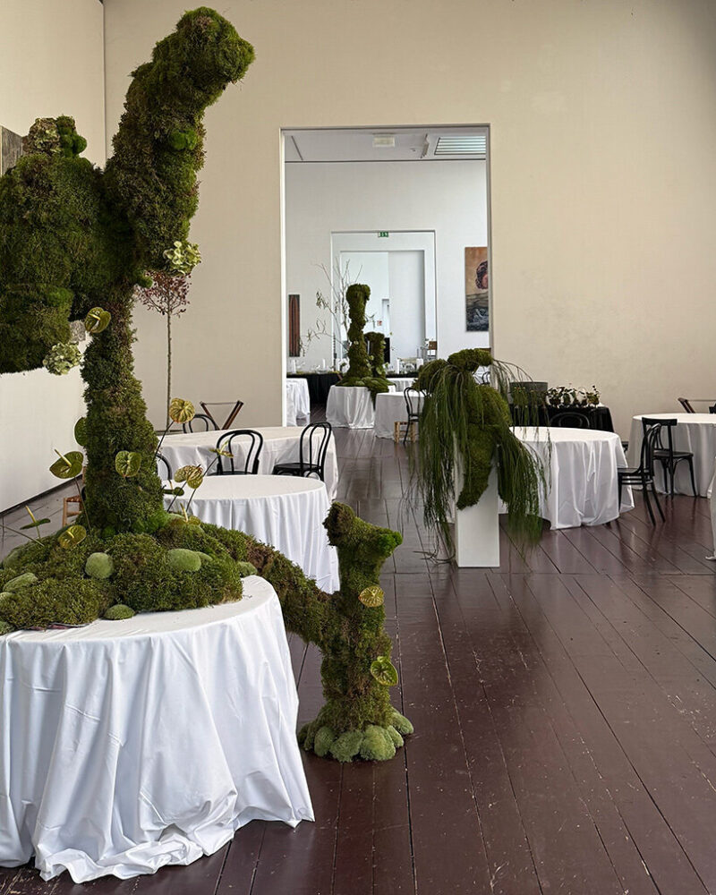 image courtesy Botanical Vandalism