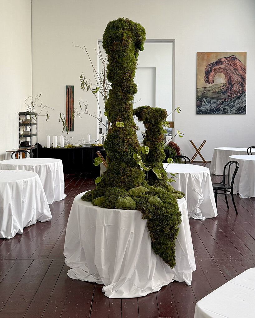 taubenkobel vogelfrei