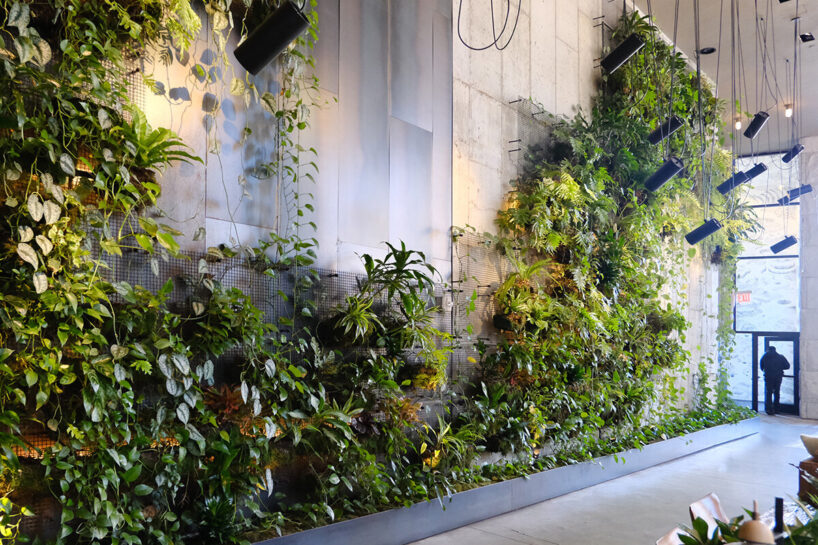 lobby green wall | image © studiocrow for designboom