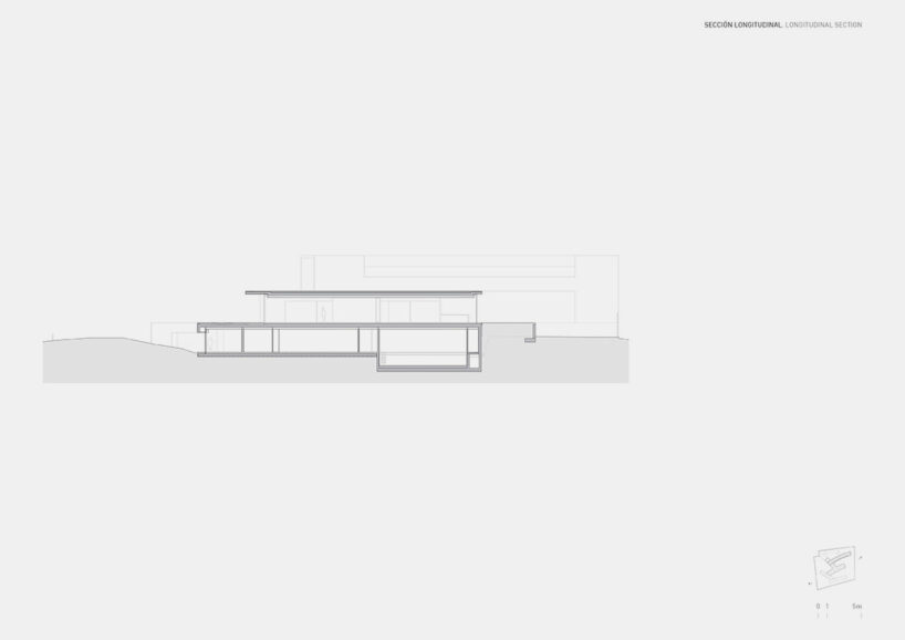 longitudinal section