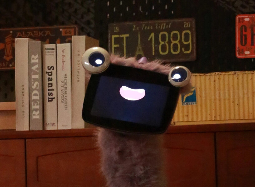 the device is meant to live in a home the way a pet does