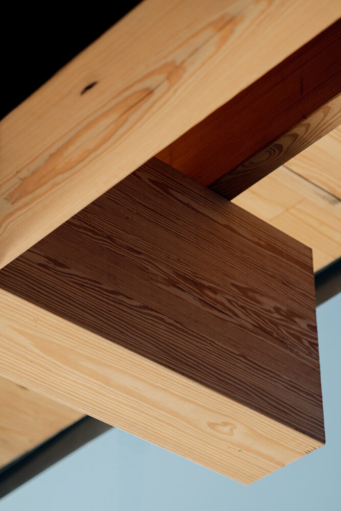 wood forms a defining architectural element throughout the campus