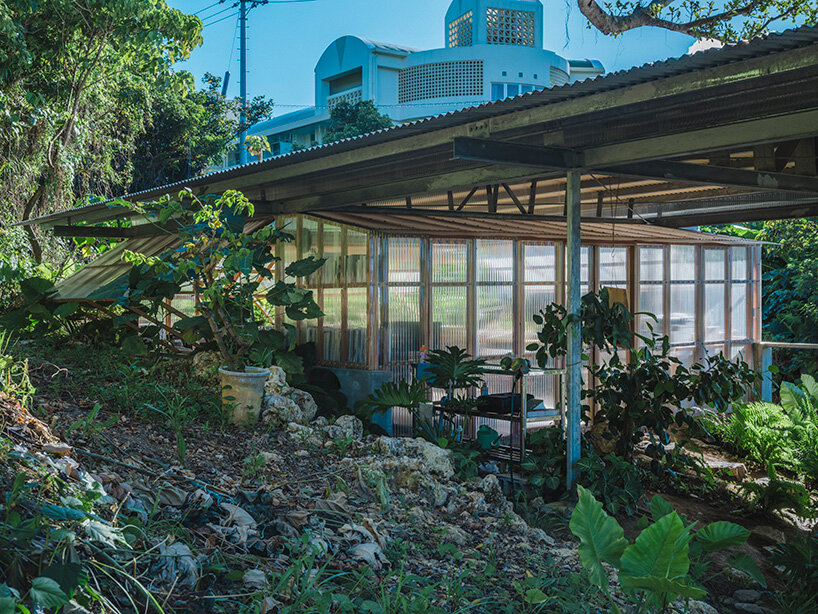 a porous structure embedded within dense vegetation